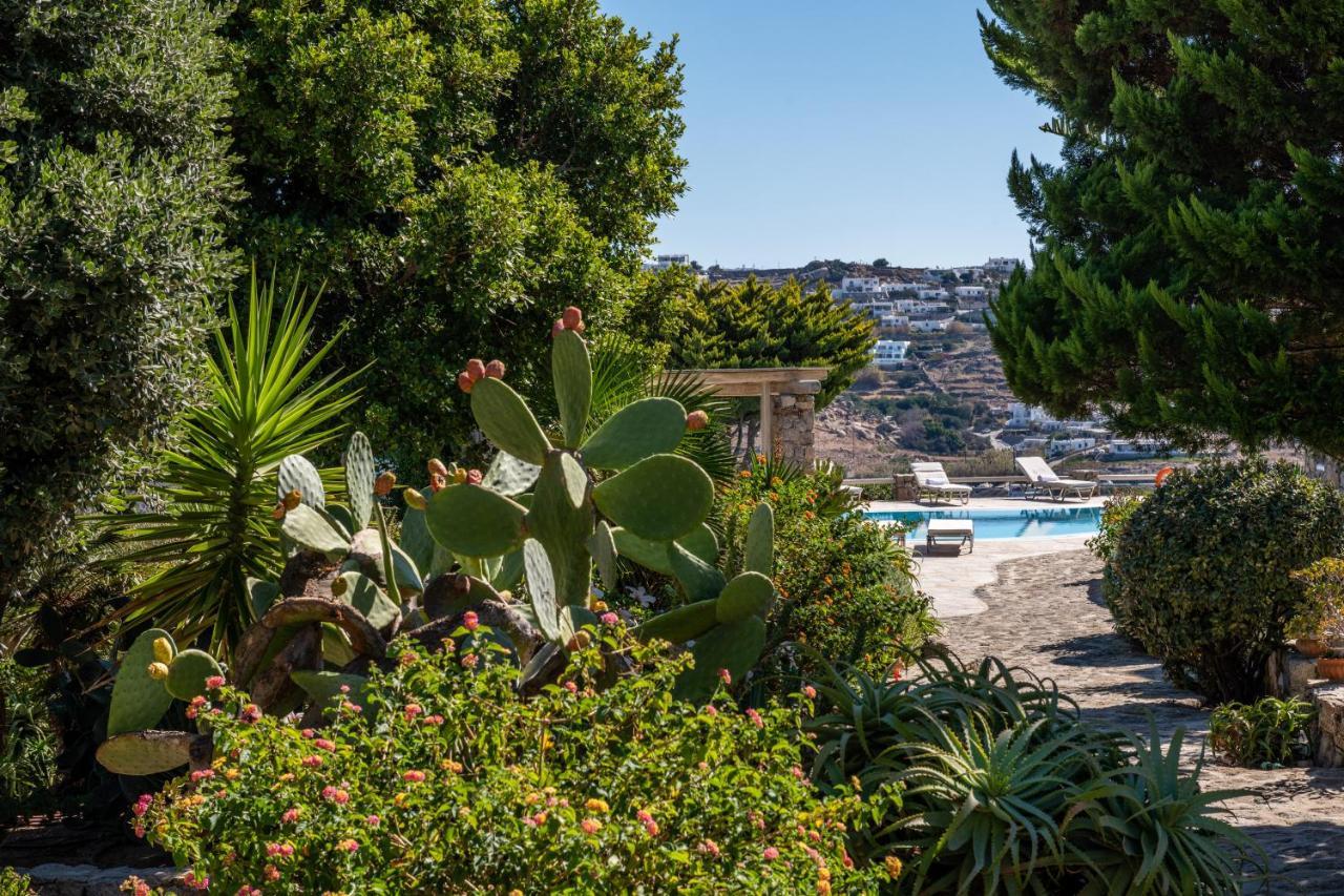 Yalos Mykonos Ornos Pouli Private Apartments W Shared Swimming Pool Mykonos Town エクステリア 写真